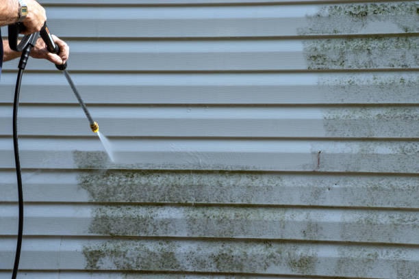 Best Foreclosure Cleanout  in Buhl, ID